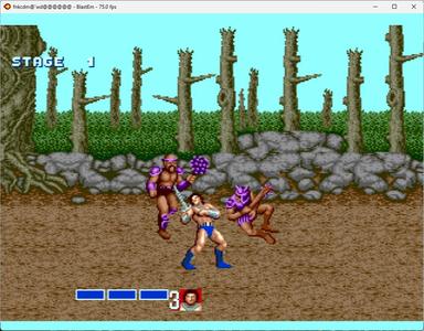 Golden Axe screenshot 4