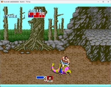 Golden Axe screenshot 5