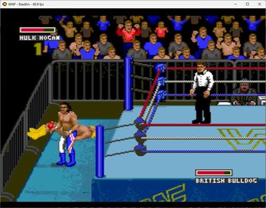 WWF Super Wrestlemania screenshot 8